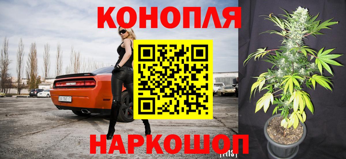 Канабис конопля Саянск